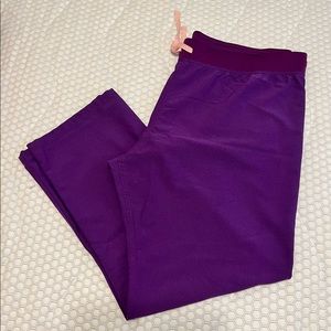Women’s FIGS Scrub Pants - XXL Ultra Violet (EUC)